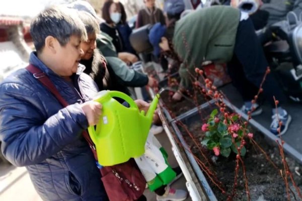 贝格富配资 配种绿植、家庭认养……社区居民齐参与，胡同花箱焕新生