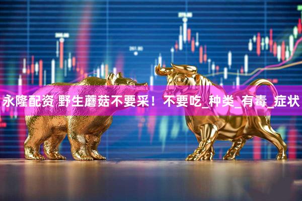 永隆配资 野生蘑菇不要采！不要吃_种类_有毒_症状