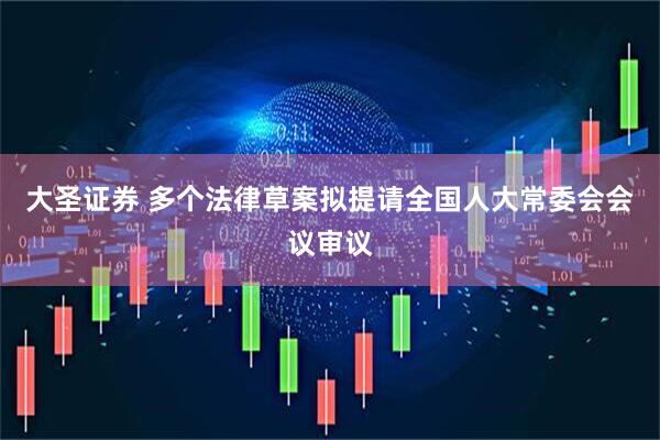 大圣证券 多个法律草案拟提请全国人大常委会会议审议